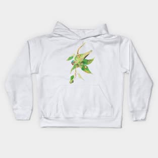 Musk lorikeet and gumtree branch with gumnuts watercolour painting Kids Hoodie